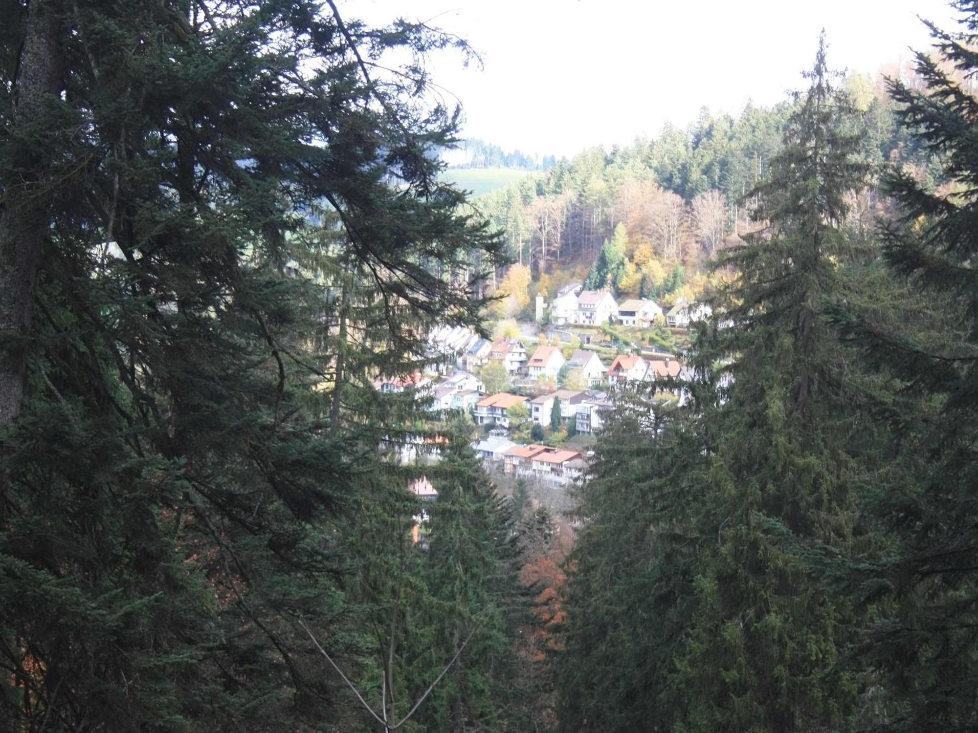 Relaxapartments Black Forest Moments - Maisonette-Wohnung Mit Sonnenbalkon, Schnelles Internet, Naehe Triberger Wasserfaelle, Fuer Bis Zu 4 Personen Schönwalde Exterior foto